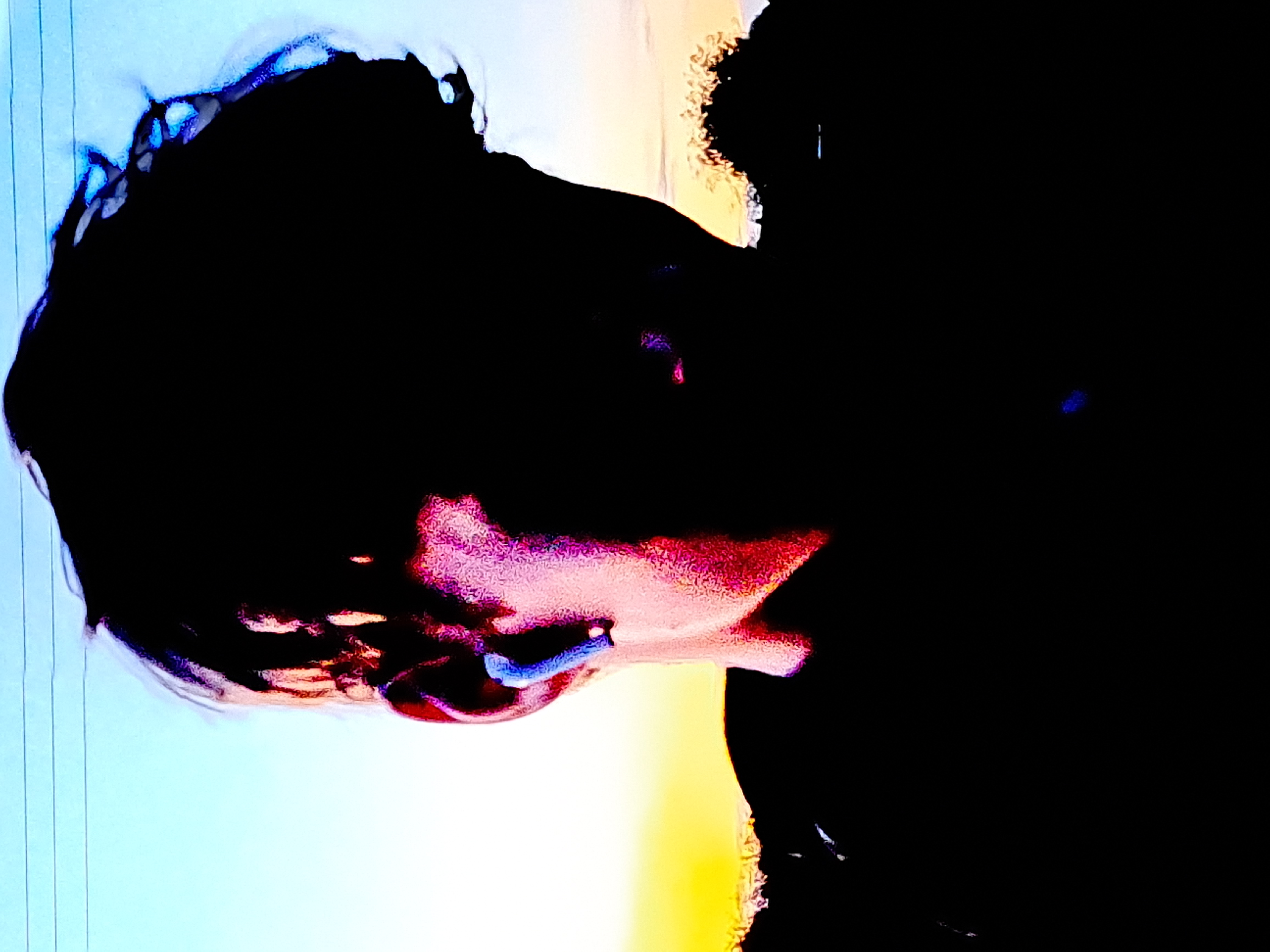 vincent's profile picture