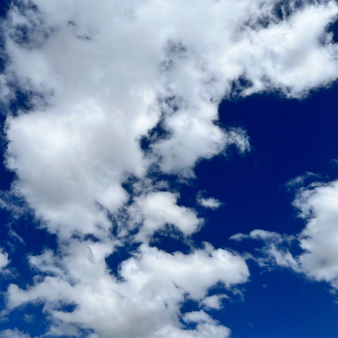 ishaan's profile picture