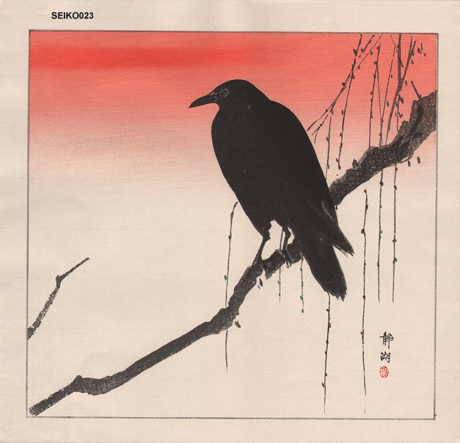 mox's profile picture