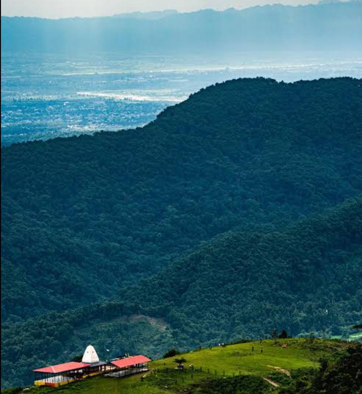 anmol5's profile picture