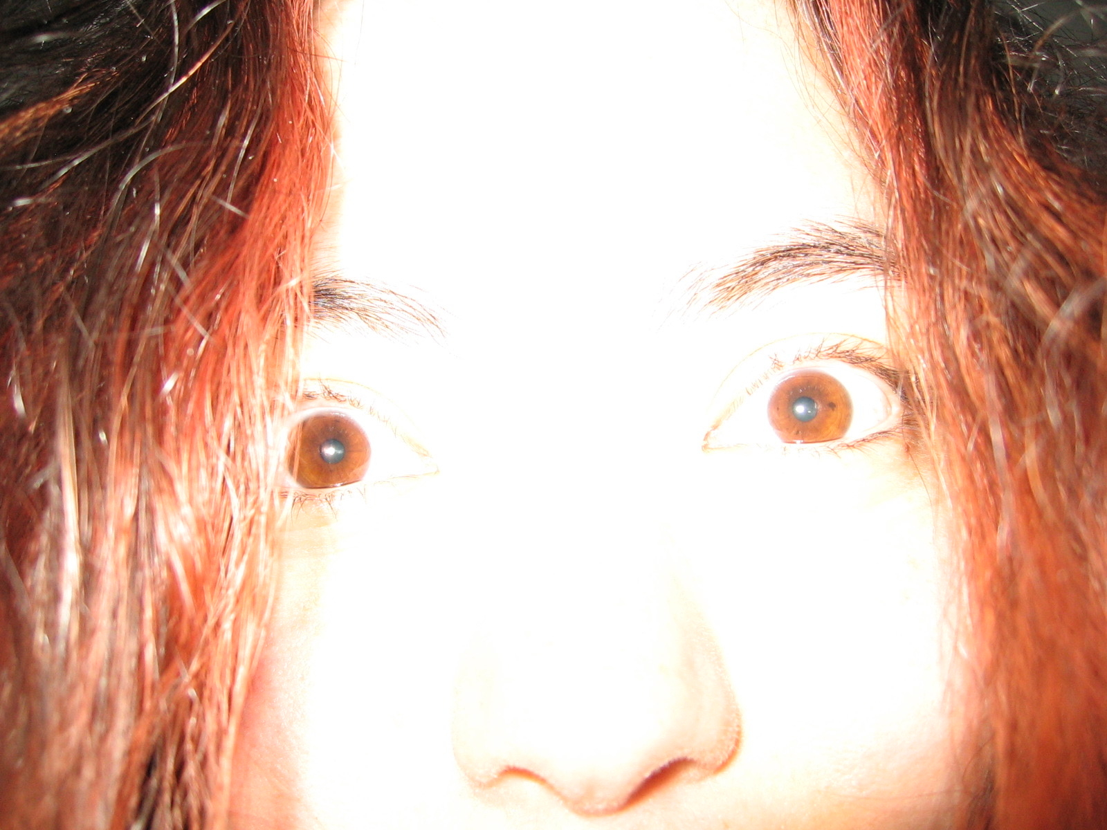 emily.ishikawa's profile picture