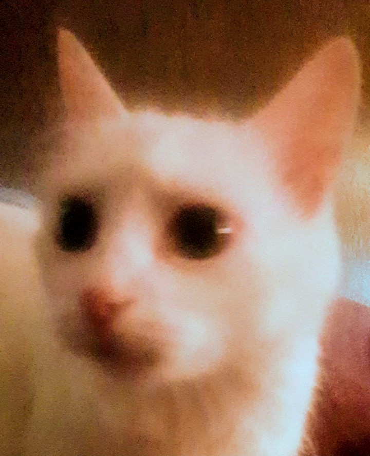 aldin's profile picture