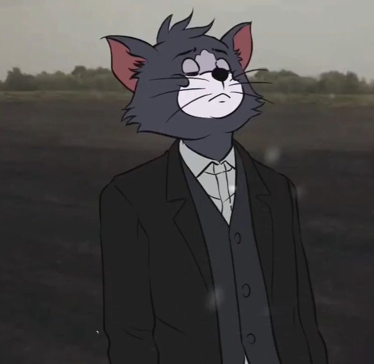 abhinav4's profile picture