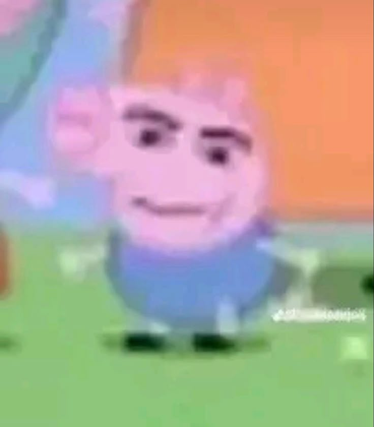 rayyan's profile picture