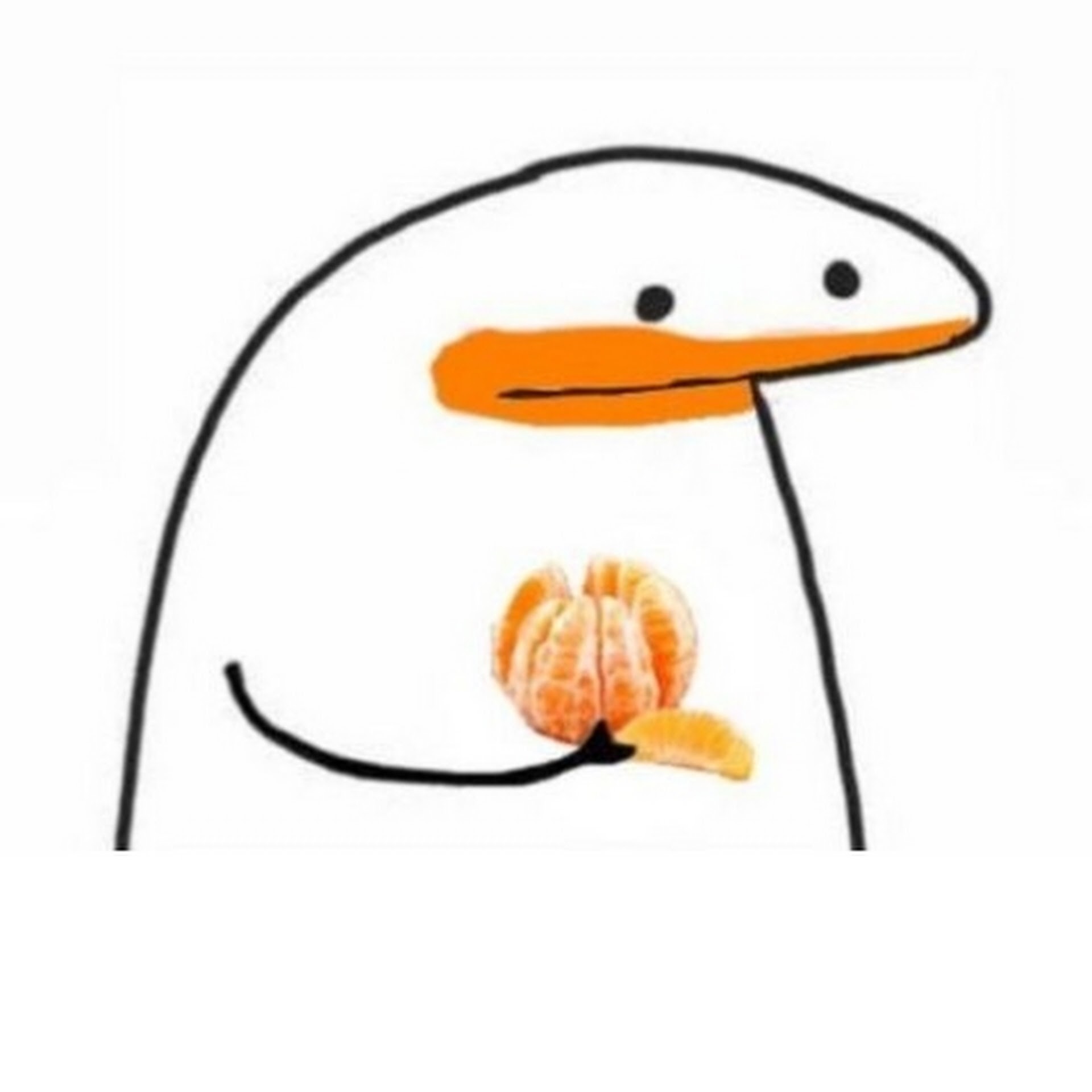 aditya8's profile picture