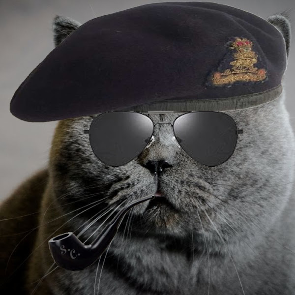 Rogerboi's profile picture