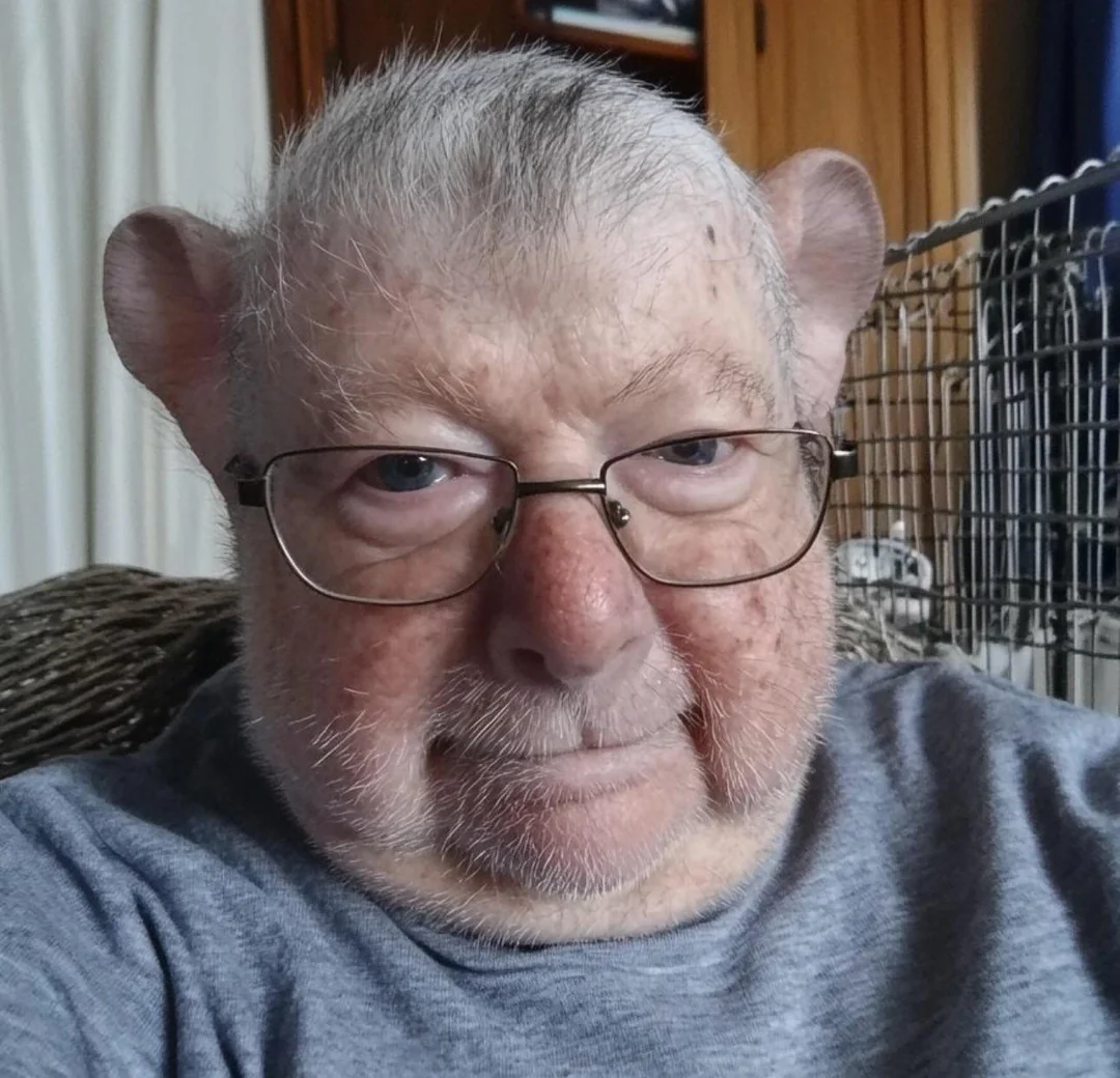 nicolas's profile picture