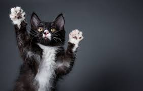 last's profile picture