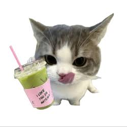 try's profile picture