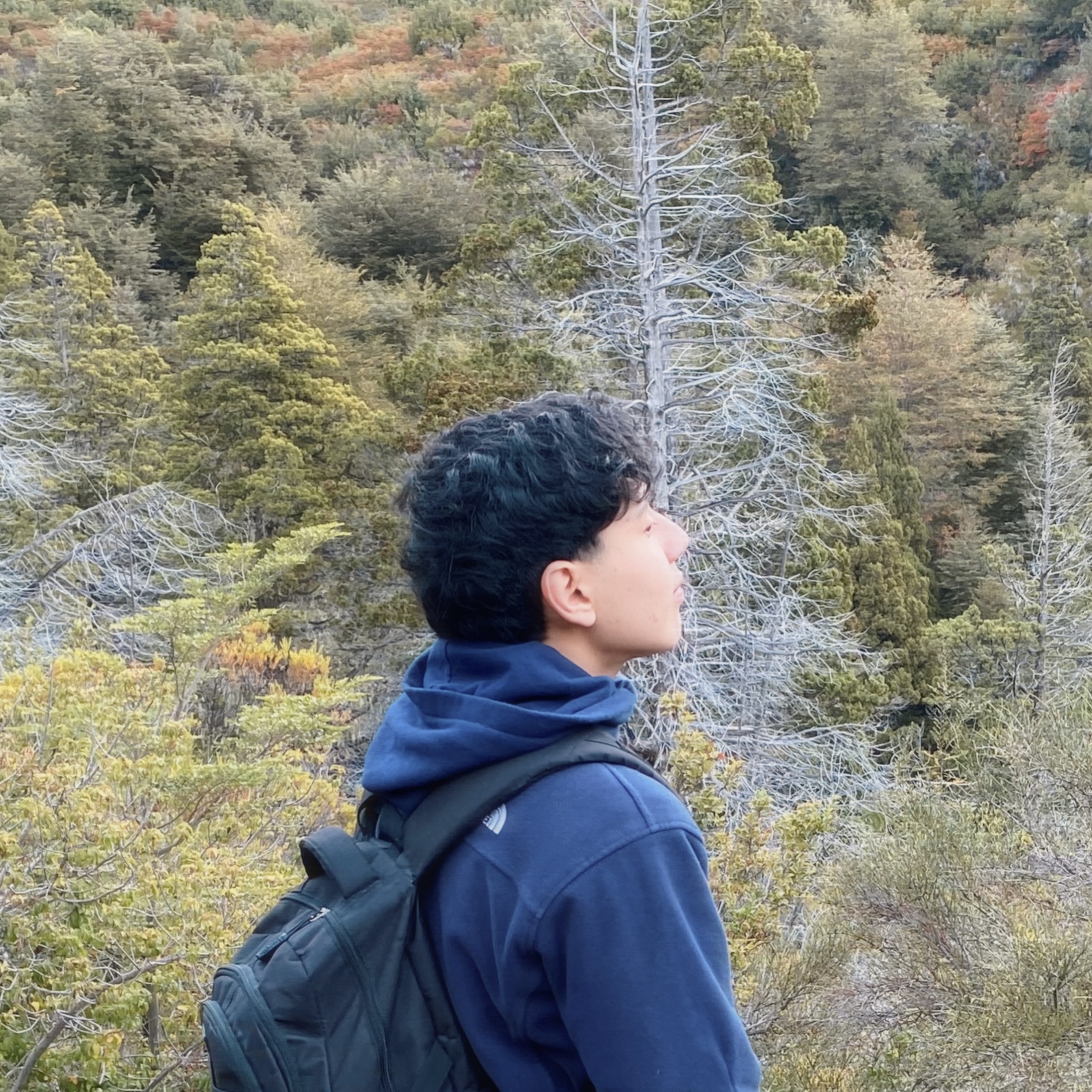 mateo1's profile picture