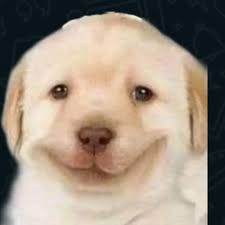 mario's profile picture