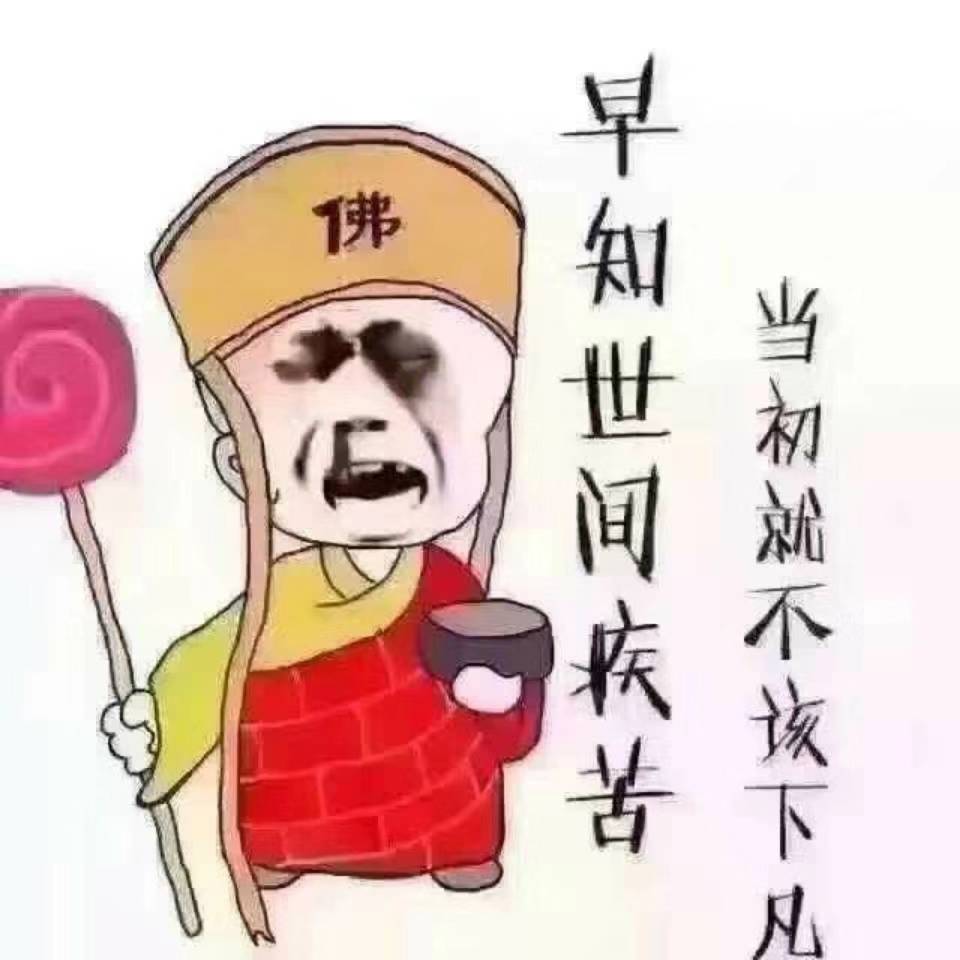 no's profile picture