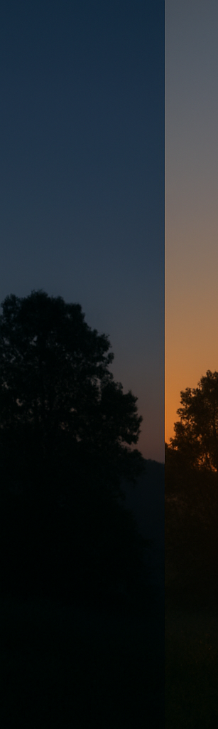 victor5's profile picture